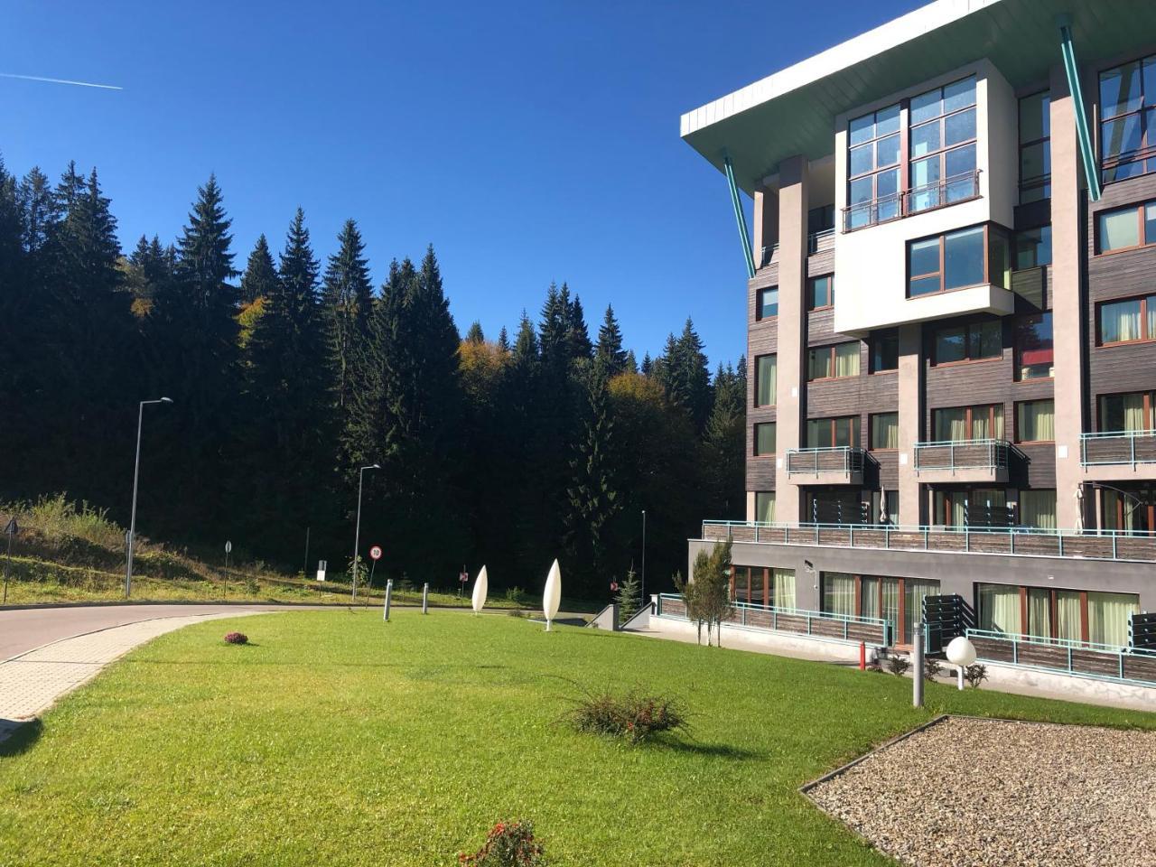 Pine Woods Apartment B35 In Silver Mountain Poiana Brasov Eksteriør billede